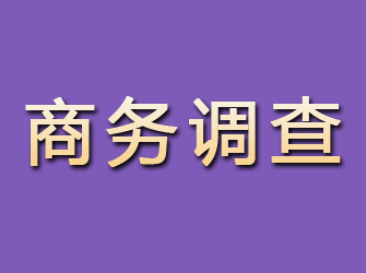 宏伟商务调查